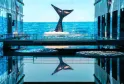 Une baleine géante avec sa queue levée émerge de l'océan bleu, vue à travers une structure architecturale moderne avec passerelles et bâtiments en verre bleu à Bordeaux.