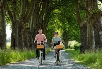 Deux cyclistes qui pédalent sur une allée de gravier bordée de grands platanes, avec des paniers en bois sur leurs vélos, dans les vignobles de Bordeaux.