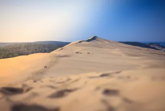 Vue panoramique de la Dune du Pilat avec ses vastes étendues de sable blond, des visiteurs dispersés sur les pentes, et une forêt de pins en arrière-plan sous un ciel bleu clair.